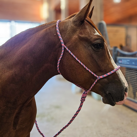 Pink and Blue Braided Rope - Picture 6 of 6
